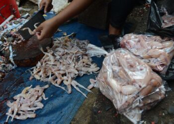 KAKI katak yang sudah disiang kulit dijual di Pasar Bogor, Jakarta.-AFP