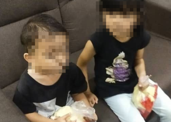 DUA beradik yang ditemukan merayau bersendirian di sebuah taman perumahan di Taman Desa Setapak dekat sini semalam telah diserahkan kepada ibunya.