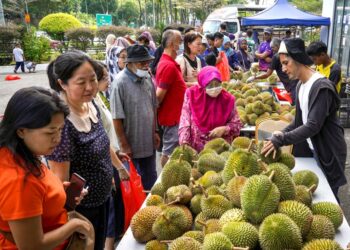 ALIFF Syukri (kanan) melayan pelanggan yang mahu membeli durian di Wisma DHerbs Kota Damansara, Selangor. - UTUSAN/MUHAMAD IQBAL ROSLI