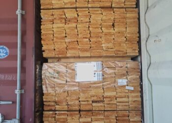 KAYU pine dari Chile bernilai RM508,889 yang diisytiharkan dalam keadaan mengelirukan cuba dibawa masuk ke negara ini di Pelabuhan Tanjung Pelepas, Johor.