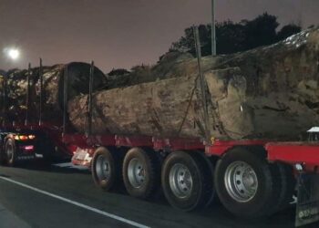 PENGUAT kuasa Jabatan Perhutanan Negeri Pahang (JPNP) membuat pemeriksaan ke atas lori yang membawa kayu balak saiz luar biasa di Hentian Rehat dan Rawat Gombak arah barat. -  FB JPNP