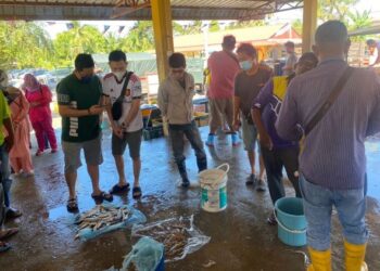 PENIAGA dan pembeli sedang menawarkan harga hasil tangkapan laut yang didaratkan di Pasar Bisik Kuala Muda di Sungai Petani, Kedah. -UTUSAN/OTHMAN YAHAYA