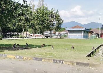 KEHADIRAN sekawan kera liar sering menimbulkan kebimbangan kepada pengunjung kawasan awam di Jeti Semeling, Sungai Petani. – FOTO/OTHMAN YAHAYA