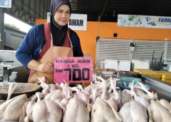 NURUL Aniezah Ab. Rahman menunjukkan harga ayam yang dijualnya di Pusat Transformasi Luar Bandar (RTC) Tunjung, Kota Bharu, Kelantan hari ini.-UTUSAN/ ROHANA ISMAIL