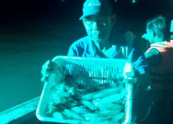 SOHIR Man menunjukkan sotong yang berjaya dicandatnya di perairan Kuala Sala di Yan, Kedah.