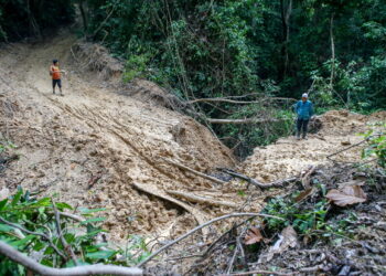 Jalan yang didakwa dibuat untuk kegunaan aktiviti menanda pokok dan pembalakan terlalu dekat dengan sungai dan menjejaskan sumber air utama 1000 penduduk di kawasan itu. - UTUSAN/ SHAHIR NOORDIN