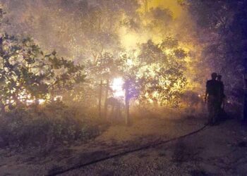KEADAAN kebakaran terbuka yang berlaku di sebuah kawasan hutan di Terengganu, baru-baru ini.