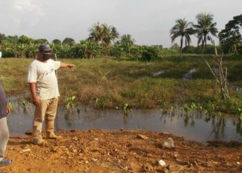 ABD. Aziz Mat Isa menunjukkan tapak kebun sayuran miliknya ditenggelami air di Kampung Jelatang, Gurun, Sungai Petani hari ini. - UTUSAN/OTHMAN YAHAYA