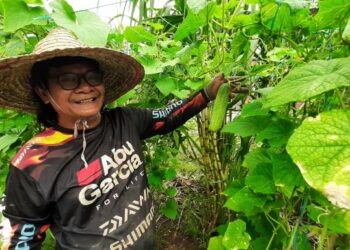 Bagi Abdullah Hassan bercucuk tanam merupakan aktiviti sangat menyeronokan.-UTUSAN/AMRAN MULUP