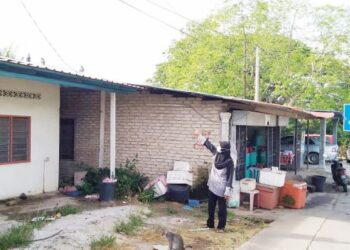 NADRAH Mat Deli menunjukkan sekumpulan kera yang berada di atas bumbung rumahnya di Kampung Pinang Tunggal, Sungai Petani, Kedah. – UTUSAN/OTHMAN YAHAYA