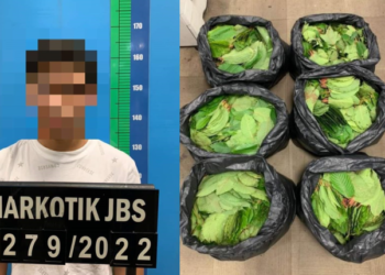 POLIS merampas 201kg daun ketum susulan penahanan seorang remaja berusia 19 tahun di Kampung Melayu Majidee, Johor Bahru.