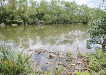 KEADAAN air Sungai Petani, Kedah yang berwarna hitam dan dicemari sampah.