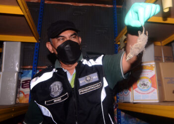 BANGKAI tikus antara yang dijumpai dalam serbuan Jabatan Kesihatan Pulau Pinang ke atas sebuah kilang memproses kopi dan teh di Bukit Mertajam, Pulau Pinang hari ini.
