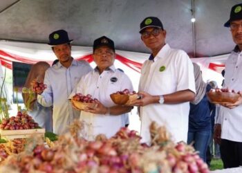 AHMAD Hamzah (dua dari kiri) meneliti hasil bawang merah yang dituai di Stesen MARDI Telong, Bachok, Kelantan hari ini. - FOTO/TOREK SULONG