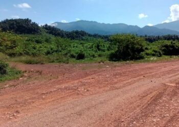 SEBANYAK 1,494.74 hektar tanah di Kelantan masih lagi terbiar dan tidak dibangunkan dengan sebarang aktiviti pertanian.