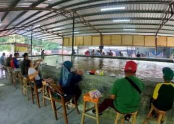 ORANG ramai tidak melepaskan peluang mengisi waktu cuti hujung minggu mereka dengan memancing udang galah di Kolam Pancing Jidin Jenggo di Jalan Seremban-Kuala Pilah, Seremban. - FOTO/MOHD. SHAHJEHAN MAAMIN