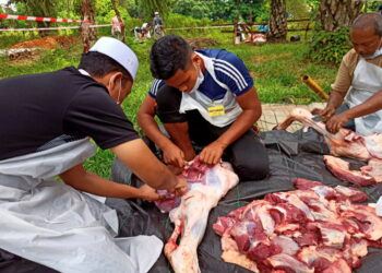 Maik memberi kelonggaran untuk  masjid bandar, jajahan atau mukim menambah tempat penyembelihan haiwan korban di lokasi lain ekoran permintaan meningkat. - GAMBAR HIASAN