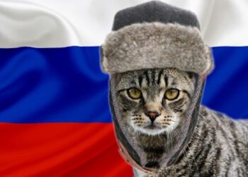 KUCING dari Russia amat digemari peminat felin di seluruh dunia kerana kualiti terbaik berbanding baka negara lain. - GAMBAR MEDIA SOSIAL