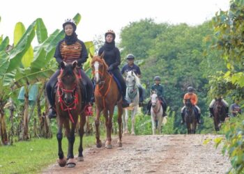 Nur Qasrina Amani  Zakaria (depan) antara salah seorang daripada lima wakil Malaysia yang memenangi pingat perak dalam Kejohanan Kuda Lasak Remaja Dunia FEI kategori junior. -UTUSAN/FARIZWAN HASBULLAH