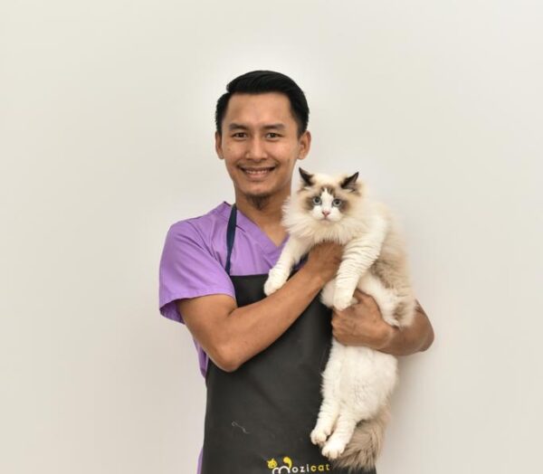 Jangkitan kutu akibatkan kucing stres