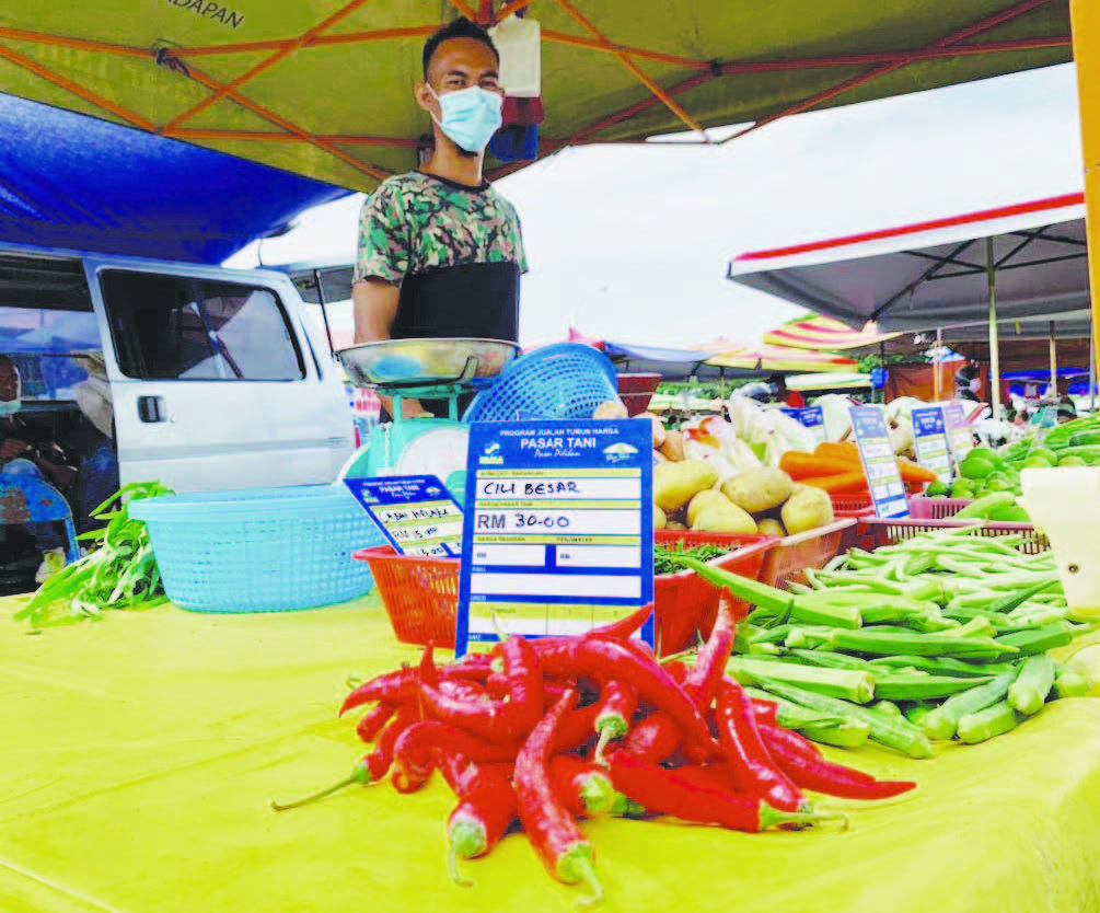 Harga cili padi sekilo 2021