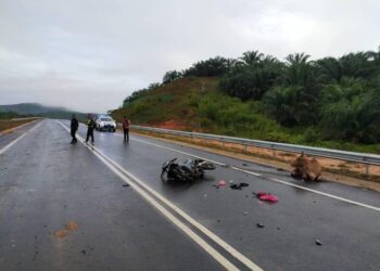 KEADAAN motosikal Mohammad Shahrul Hakimi Haslimi yang maut selepas melanggar seekor lembu di Jalan Felda Aring 6 di Gua Musang, Kelantan. - IHSAN POLIS