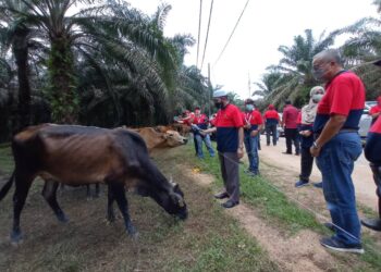 NIK Muhammad Zawawi Salleh (dua dari kanan) melakukan lawatan di ladang fidlot di Estet Ladang Sungai Ambat, Mersing, Johor. - UTUSAN/MASTURAH SURADI