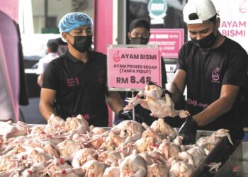 KERAJAAN meneruskan pemberian subsidi ayam dan telur mulai 1 Julai ini.