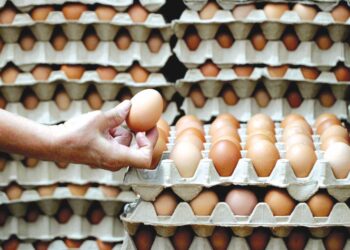 HELAH mengisytihar telur biasa sebagai telur omega didakwa menyebabkan berlaku lambakan telur jenis itu dan pada masa sama telur gred A, B serta C berkurangan.