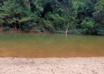 LOKASI Muhammad Zuhaily Roslan dikhuatiri lemas selepas  tergelincir sebelum dibawa arus laju di Sungai Hulu Paka, Dungun, Terengganu, petang tadi.