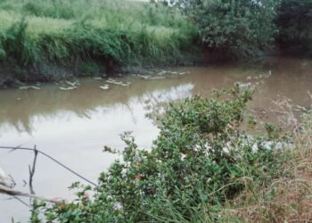 LOKASI mangsa yang ditemukan lemas oleh orang awam ketika memasang jaring ikan di anak sungai Kampung Jambatan Merdeka, Kota Kuala Muda di Sungai Petani.