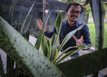 FOTO UTUSAN/AMIR KHALID