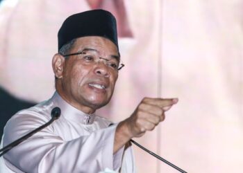 Saifuddin Nasution Ismail