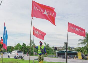 DAP dikatakan mahu bertanding PRU5 menggunakan logo Harapan manakala PKR pula menaruh harapan tinggi terhadap logo parti itu.