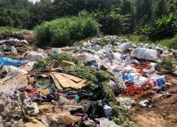 KIRA-KIRA 200 tan metrik sayur tidak laku dijual terpaksa dibuang di tempat pelupusan sampah sehingga 200 penanam Bumiputera Tanah Tinggi Lojing, Gua Musang, Kelantan menanggung kerugian mencecah RM400,000 sehari.