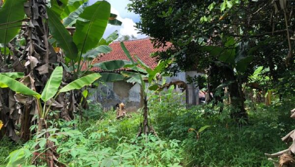 Utama - Utusan Digital