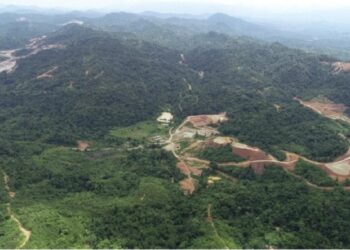 KAWASAN tapak cadangan lombong emas di Hutan Simpan Kekal Sokor Taku, Tanah Merah, Kelantan. - IHSAN JAS