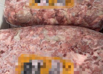 DAGING kerbau sejuk beku dari India yang dirampas Maqis Pulau Pinang di NBCT, Butterworth, semalam berikutan mempunyai maklumat sijil halal dan kesihatan yang mengelirukan.