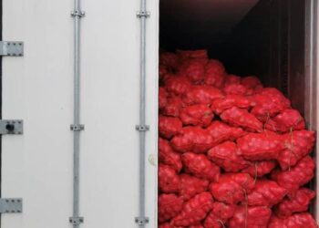 BAWANG merah yang dirampas Maqis Selangor di Pelabuhan Klang yang diletakkan dalam empat kontena.