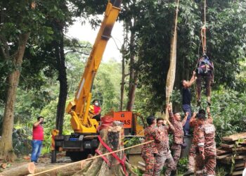 ANGGOTA bomba dan penyelamat menurunkan mayat warga emas yang meninggal dunia atas pokok di di Kampung Kundur Hilir, Rembau pada 19 Ogos.