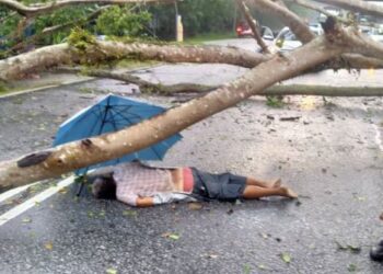 LELAKI warga emas yang maut dihempap pokok tumbang di Taman Universiti di Tanjung Malim, Perak, petang tadi. - IHSAN JBPM