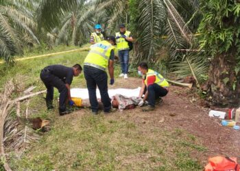 POLIS melakukan pemeriksaan terhadap mayat mangsa yang ditemukan dalam keadaan berlumuran darah di Bukit Asahan, Jasin.