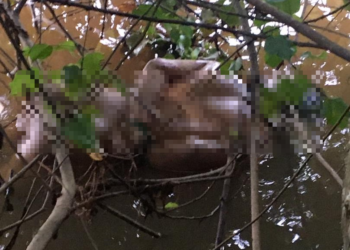 MAYAT lelaki ditemukan di Sungai Golok di Kampung Simpangan, Tumpat. - IHSAN PEMBACA