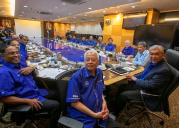 SEKIRANYA Barisan Nasional (BN) mendapat kembali mandat daripada rakyat, maka agenda
membina kembali kesejahteraan dan kemakmuran negara akan dapat diteruskan di bawah Wawasan
Kemakmuran Bersama 2030.