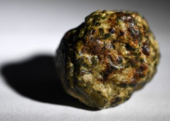 SERPIHAN meteorit Erg Chech 002 yang dikaji saintis di Brest, Perancis.-AFP