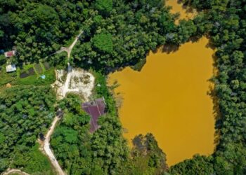 Keadaan Mimaland yang dipenuhi hutan selepas ditutup pada tahun 1994 dan terbiar sehingga kini. - UTUSAN/IQBAL ROSLI