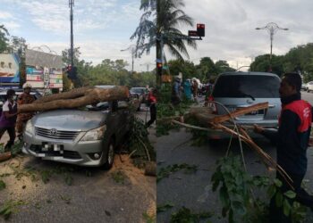 KEADAAN sebatang pokok tumbang yang menghempap dua kenderaan di persimpangan lampu isyarat menghala ke Bukit Beruang, Ayer Keroh, Melaka.