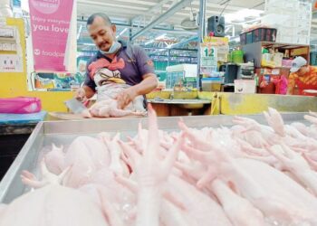 GHAZALI Abu Bakar memotong ayam untuk dijual kepada pelanggan di Pasar Besar Melaka, Bachang, Melaka. - UTUSAN/MUHAMMAD SHAHIZAM TAZALI