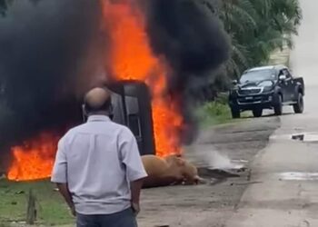 HONDA Odyssey yang didakwa membawa beberapa lembu curi dibakar sekumpulan individu di tepi jalan di Felda Neram di Kemaman, semalam. 