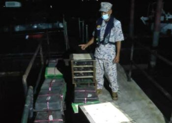 SEBAHAGIAN burung Murai Kampung yang ditinggalkan suspek di tepi pantai di perairan Alai, Melaka. - UTUSAN/DIYANATUL ATIQAH ZAKARYA